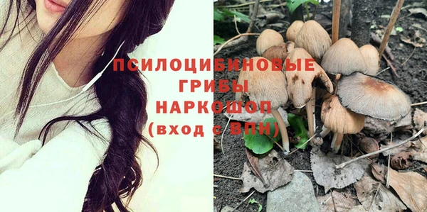 дмт Арсеньев