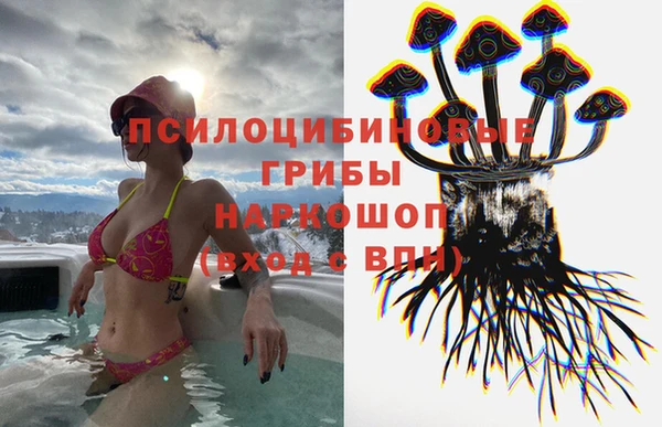 гидра Аркадак