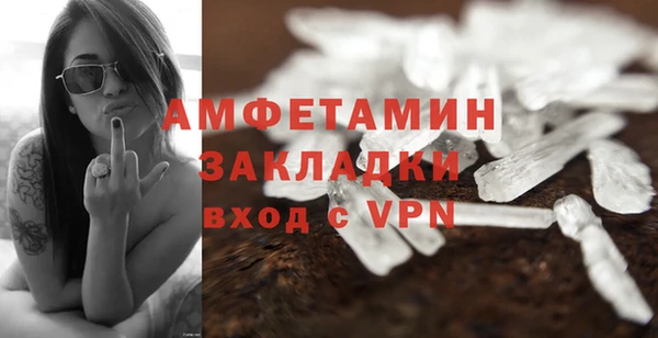 гидра Аркадак