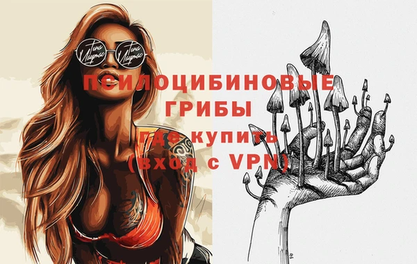 Альфа ПВП Армянск