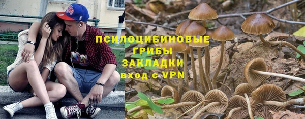 дмт Арсеньев