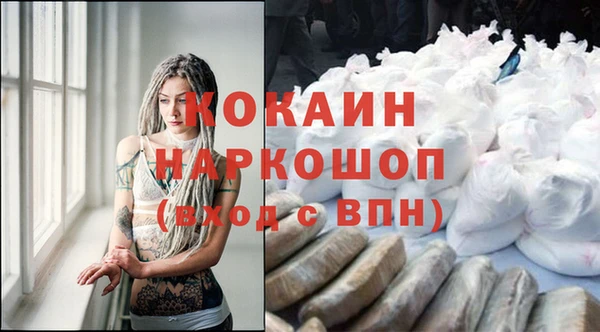 гидра Аркадак
