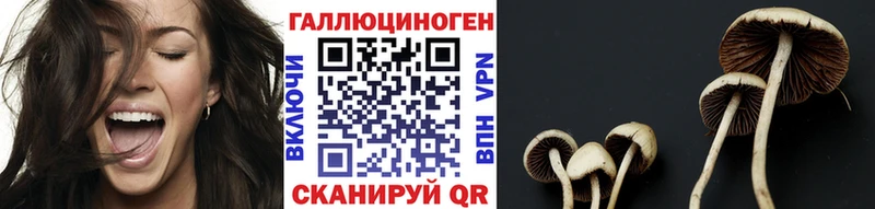 Псилоцибиновые грибы GOLDEN TEACHER  купить закладку  Афипский 